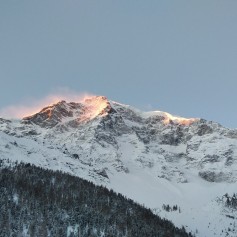 IMG_20210116_075656