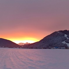 IMG_20211208_074531