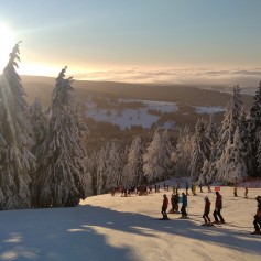 IMG_20220118_082030_1