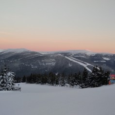 IMG_20220224_065402