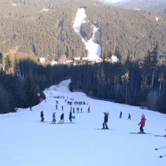 IMG_20220226_081127_1