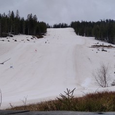 IMG_20220416_093857