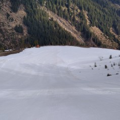 IMG_20220417_090308