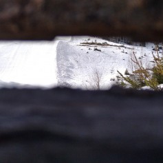 IMG_20220417_093245
