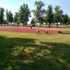IMG_20190801_100818_HDR