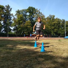 IMG_20190801_103759